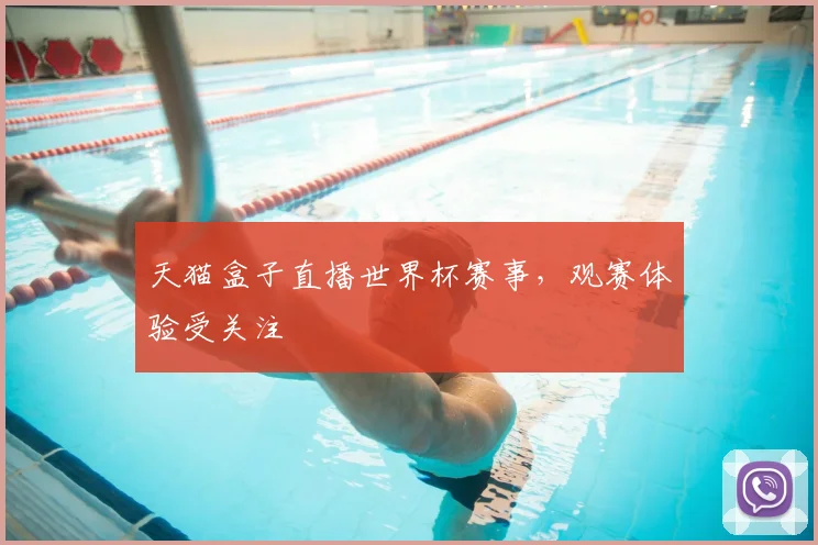 天猫盒子直播世界杯赛事，观赛体验受关注