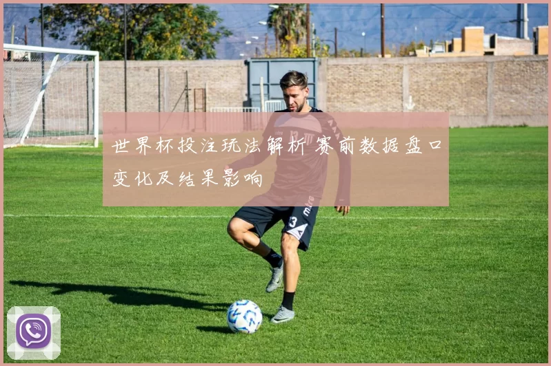 世界杯投注玩法解析 赛前数据盘口变化及结果影响
