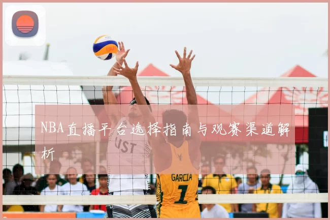 NBA直播平台选择指南与观赛渠道解析