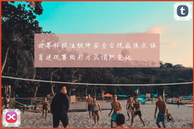 世界杯投注软件安全合规成焦点 体育迷观赛购彩方式悄然变化