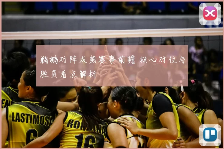 鹈鹕对阵灰熊赛事前瞻 核心对位与胜负看点解析